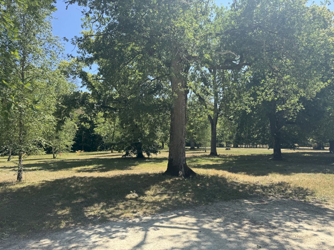 ph10_39925