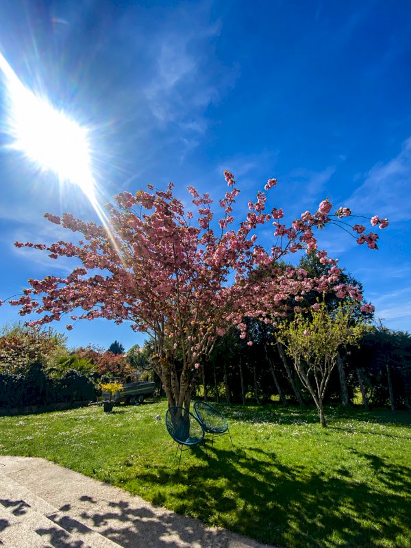 ph11_39749