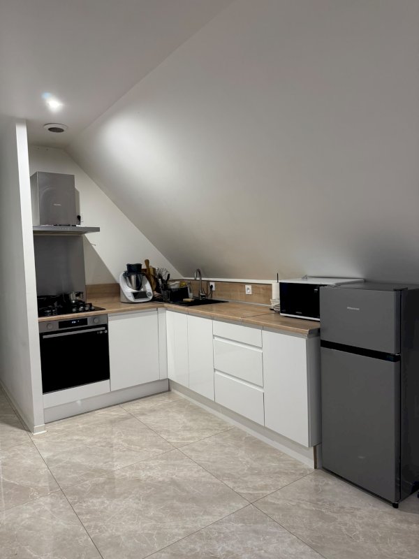 Grande maison de près de 200 m² avec entrée indépendante, sous-sol et dépendance - Photo 13 - Orléans