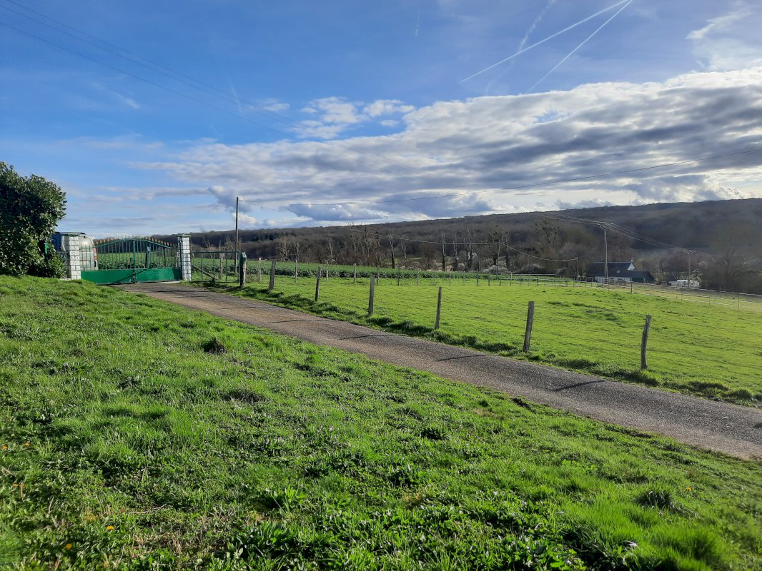 ph14_37342