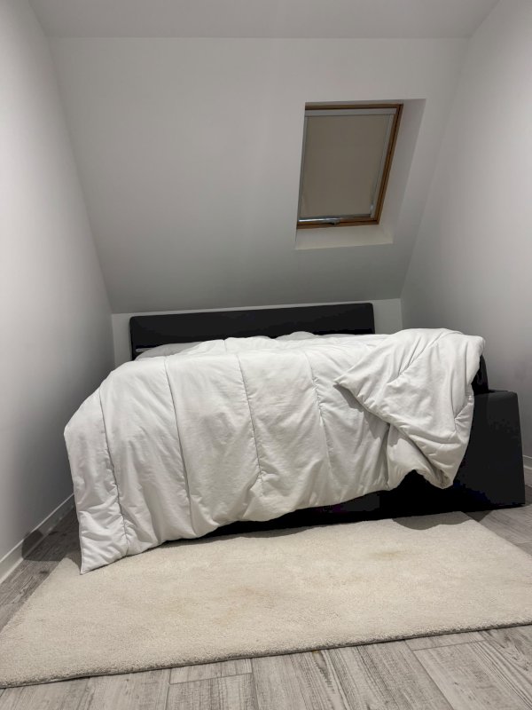 Grande maison de près de 200 m² avec entrée indépendante, sous-sol et dépendance - Photo 14 - Orléans