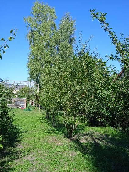 ph15_37591