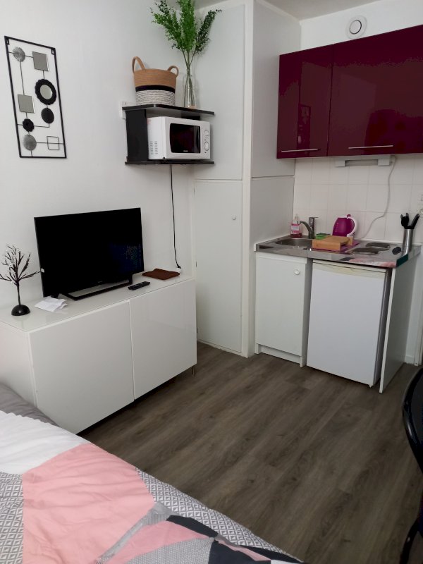 Studio Tours Sud - Photo 1 - Tours