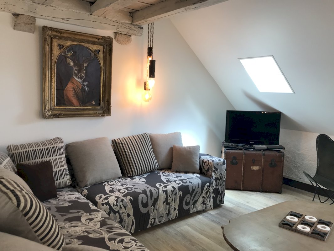 Duplex dans immeuble historique - Photo 1 - Blois