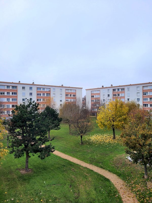 T3 TOURS Beaujardin - Photo 2 - Tours