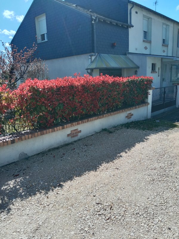 Maison à vendre - Photo 2 - Bourges