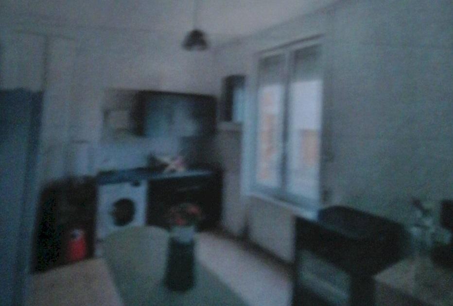 Maison avec jardin - Photo 3 - Vierzon