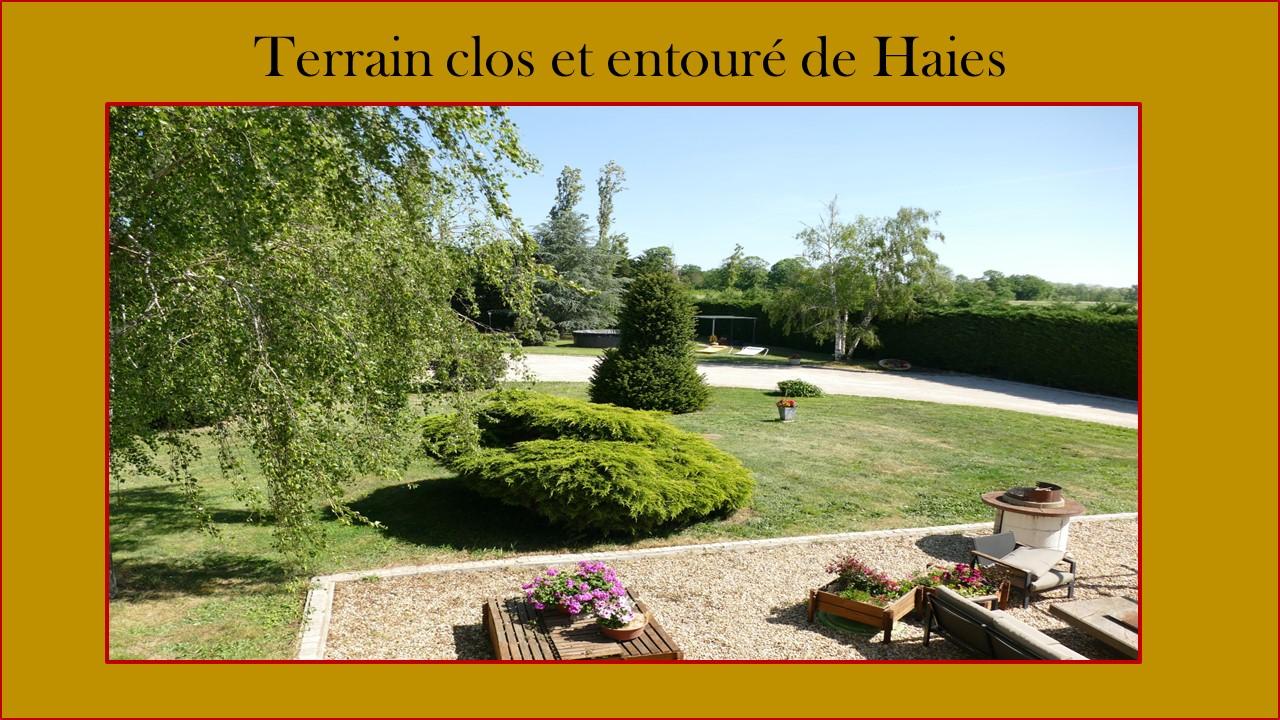 Grande maison familiale - Photo 3 - Saint-Denis-en-Val