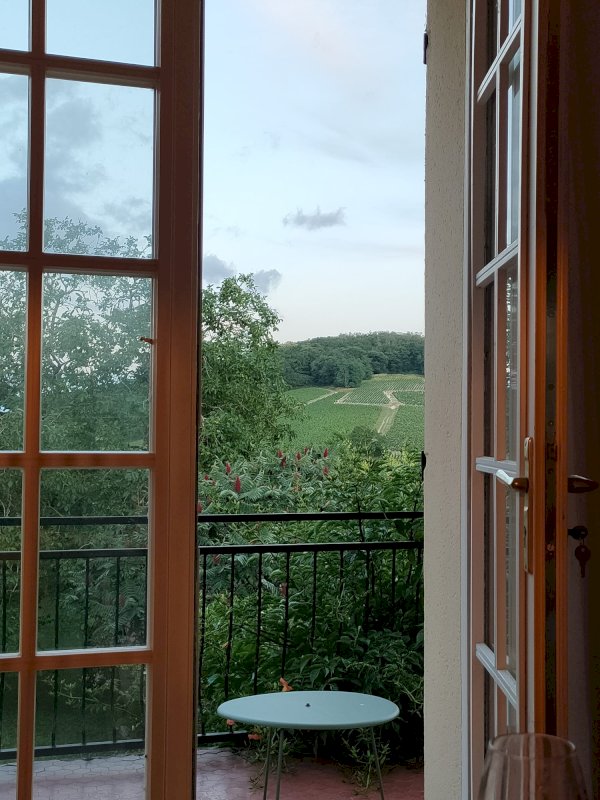 Maison indépendante 4/5 pièces de 115 m2 habitable avec terrain attenant au pied du village de Sancerre. - Photo 3 - Sancerre