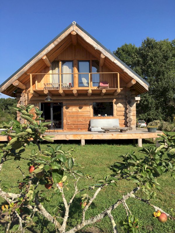 Très jolie maison en rondins dans son écrin de verdure à l'orée de la forêt d'Orléans - Photo 3 - Nibelle