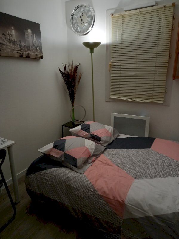Studio Tours Sud - Photo 3 - Tours