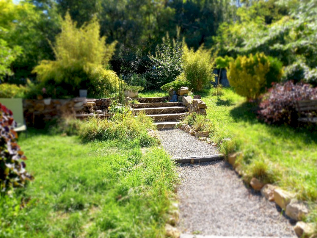 Charmente maison - Photo 3 - Graçay