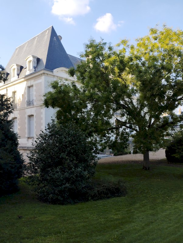 Appartement T2 - Photo 4 - Blois