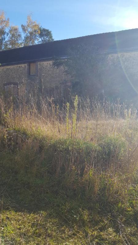 Ancienne ferme - Photo 4 - Maillebois