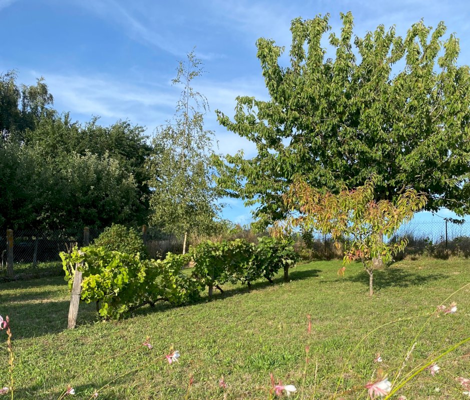 Maison 3 pièces – Grand terrain arboré - Photo 4 - Villiers-sur-Loir