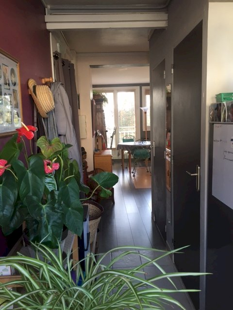 Appartement à Saint-Cyr sur Loire - Photo 5 - Saint-Cyr-sur-Loire