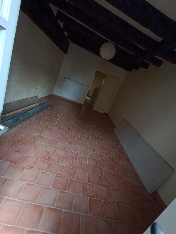 Ensemble immobilier - Photo 5 - Faverolles-sur-Cher