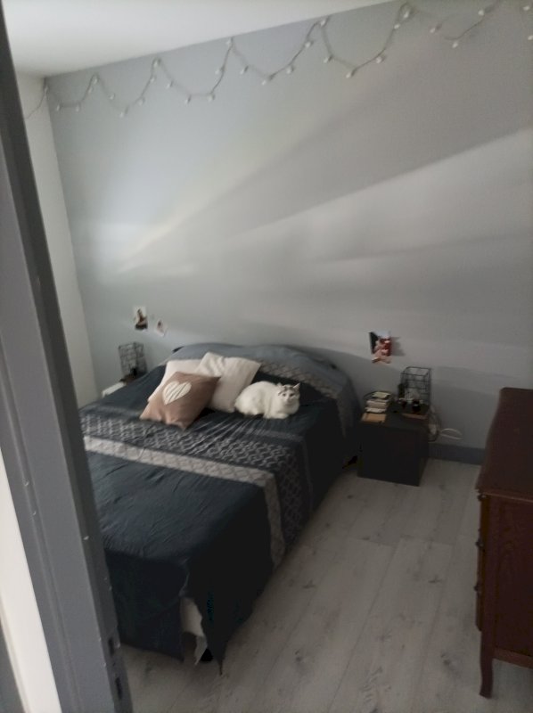 Appartement type 3 - Photo 6 - Tours