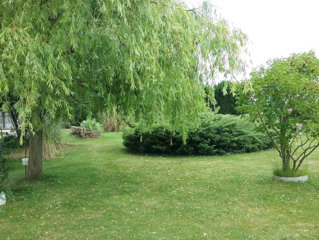 ph6_38565