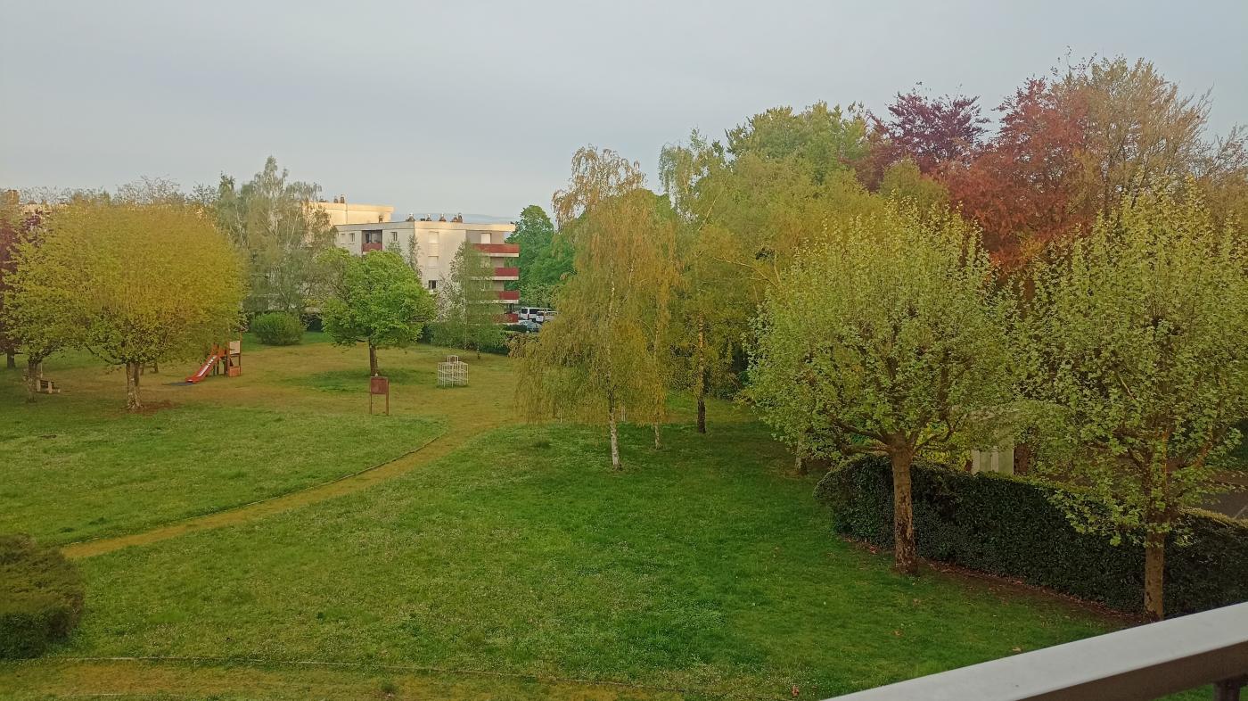 ph6_39506