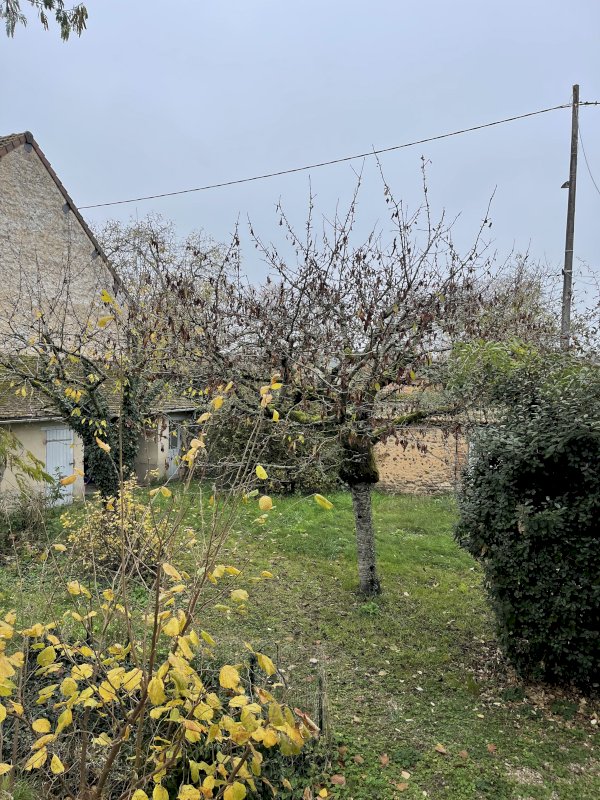 Maison avec jardin clos sur sous sol - Proche école et commerces - Photo 7 - Châtillon-Coligny