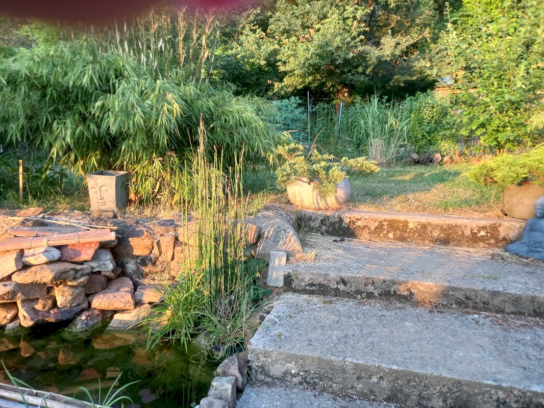 Charmente maison - Photo 7 - Graçay
