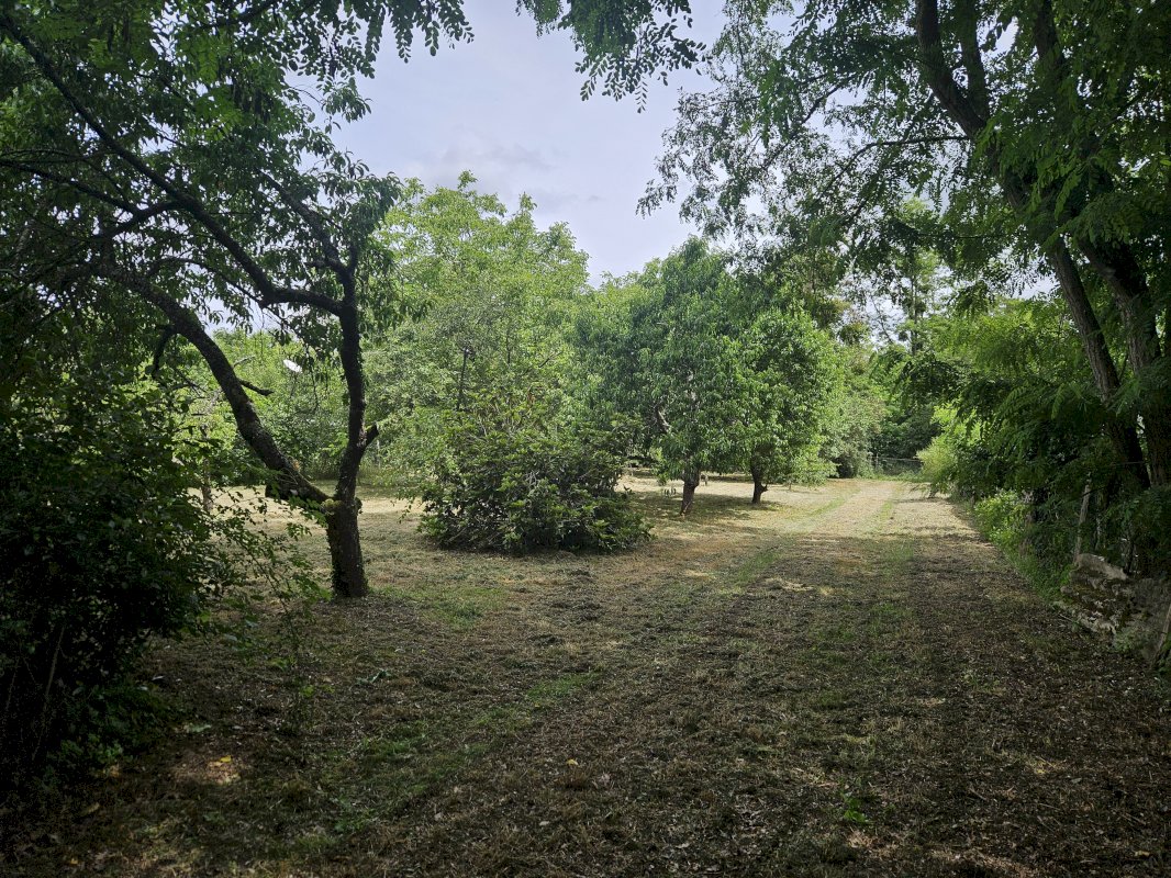 ph7_39792