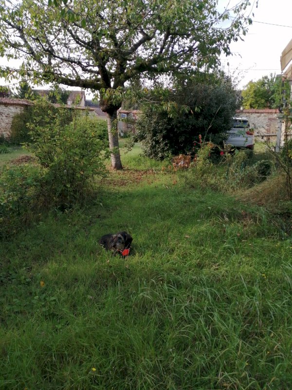 Maison avec jardin clos sur sous sol - Proche école et commerces - Photo 8 - Châtillon-Coligny