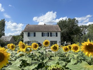 Maison 148 m² - Sorigny (37250)